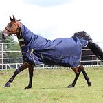 Gallop Trojan 600d Combo Neck 100g Turnout Rug 5'6" (EU 115cm)