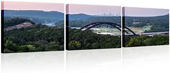 Panoramic View of the Texas Hill Country Wall Art Downtown Austin Poster Prints on Canvas 3 Pieces Austin Skyline Canvas Wall Decor Home Decoration for Living Room Framed Ready to Hang 14x20 inch x3