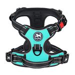 PoyPet No Pull Dog Harness with Neck Release Buckle, Reflective No-Choke Harness with 2 Leash Clip, Adjustable Soft Padded Pet Vest with Easy Control Handle for Medium Dogs (Mint Blue,M)