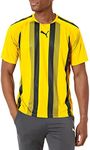 PUMA Men's Teamliga Jersey, Cyber Yellow/Black, Large