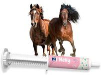 Ol Nelly Horse Probiotics (80cc), Horse Paste Pre and Probiotics +Vitamins &Minerals- 4 Strains and 8 Billion CFU per Serving- Immune and Gastro Health Support for Equines