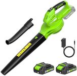 Leaf Blower Cordless, 20V Cordless 