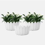 YUCCABE ITALIA SHERA Fence KTR 10 INCH Plastic Flower Pots for Home Decoration Pack of 3 Piece Planters for Balcony Indoor Outdoor Pots for Plants (White)