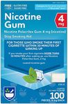 Rite Aid Nicotine Gum, Ice Mint Flavor, 4 mg - 100 Count | Quit Smoking Aid | Nicotine Replacement Gum | Stop Smoking Aids That Work | Chewing Gum to Help You Quit Smoking | Coated Nicotine Gum