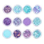 Glitter Sequins, 12 Colors Chunky Body Face Glitter for Body, Hair, Nail, Art Craft, Mixed Makeup Palette(12 Models)