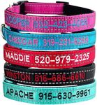 Custom Reflective Dog Collars with 