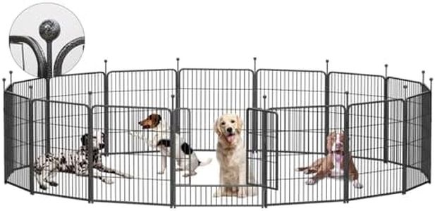 Dog Plaype