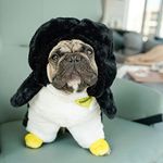 Pandaloon Pet Costume - As Seen on 