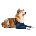 MPS Medical Pet Shirt - TAZ2, Double Front Leg Sleeve for Dog, Large