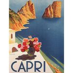 Wee Blue Coo Travel Tourism Italy Capri Island Sun Flowers Sea Art Print Poster Wall Decor 12X16 Inch