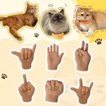 JINGGWW Cute Tiny Hands for Cats, 3/6Pcs Funny Mini Gloves for Cat Paws, Interactive Cat Toys