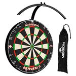 Dart Board Lights