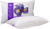 Canadian Down & Feather Co. - Soft Support Canadian Hutterite Goose Down Pillow Queen Size - 400 TC Shell 100% Cotton - Made in Canada