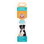 Arm & Hammer Dog Dental Care Fresh Breath Enzymatic Toothpaste for Dogs | No More Doggie Breath | Safe for Puppies, Clinical Care, Vanilla Ginger Flavor - 1 pack