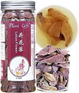 Plant Gift