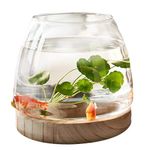 Clear Glass Fish Bowl with Wooden Base, Small Desktop Fish Bowl Aquarium for Betta Fish gold-fish, Fish Tank Flower Vase Hydroponic Plant Terrarium Home Decoration, Hydroponic Plant Vase Art Deco