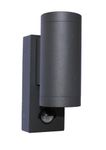 Leyton Lighting UD-6W-3K-PIR Declan Double LED Spot Light, IP44, Anthracite, PIR Motion Sensor