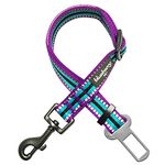 Blueberry Pet Cat Harnesses