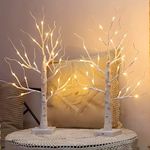 2 Pack 2FT Lighted Birch Tree for T