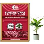 Fungus Gnat Killer Nematodes 10sqm coverage for Indoor Plants - Effective Biological Control, Ideal Gnats Killer Indoor Plants, Comprehensive Scairid Fly Killer for Houseplants