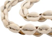 TheBeadChest Kenyan Cowrie Shell Beads 15mm West Africa African White Unusual 22-28 Inch Strand Handmade