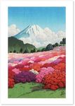 Hasui Kawase “Motohakone Minami Sanso Scenery Seeing Fuji from The Azalea Garden” Japanese Painting Poster 16.53inch×11.69inch/42㎝×29.7㎝(A3)＜fine Art Paper Print＞【Made in Japan】 Print on a Thick Sheet of Paper Painting Wall Art