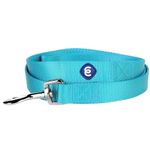 Blueberry Pet Durable Classic Dog Leash 5 ft x 3/4", Medium Turquoise, Medium, Basic Nylon Leashes for Dogs