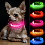 BSEEN LED Dog Collar Light - USB Rechargeable Glow in The Dark Puppy Collar, Light Up Dog Collars for Small Dogs, Safety Dog Lights for Night Walking (Pink, XS)