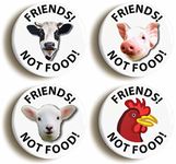 FRIENDS NOT FOOD VEGETARIAN BADGE BUTTON PIN SET (Size is 1inch/25mm diameter)