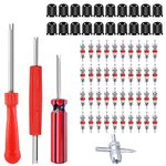 Riseuvo 64pcs Valve Stem Removal Tool - 40Pcs Valve Cores, 4-Way Valve Tool, Valve Core Remover Tool, Tire Repair Schrader Valve Tool