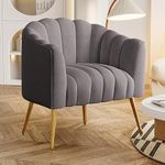 FFIJJ Oversized Pumpkin Couch Accent Chair, Modern Comfy Velvet Upholstered Barrel Chairs, Luxury Single Sofa Armchair for Living Room, Waiting Room, Office and Vanity, (Gray)