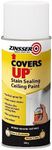 Zinsser Covers Up Ceiling Paint & P