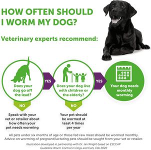 Drontal Bone Wormer for Small & Medium Dogs – Single Dose Treatment