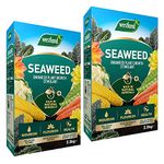 Seaweed Garden Plants Food Fertilizer - Pack of 2 x 2.5kg Organic Seaweed Enhanced Plant Growth Stimulant with Topline Card. Garden Fertilisers for Vegetable Plants, Fruits or Flowers.