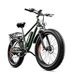 AMYET EB26 Electric Bike for Adults