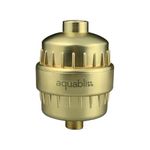AquaBliss High Output Revitalizing Shower Filter - Reduces Dry Itchy Skin, Dandruff, Eczema, and Dramatically Improves The Condition of Your Skin, Hair and Nails - Matte Gold (SF100-GD)