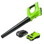 Greenworks Cordless Leaf Blower, Lightweight Axial Battery Leaf Blower 156km/h 4.27m3/min with 24V Battery & Charger, Electric Leaf Blower Cordless Garden Blower, 3 Year Guarantee G24ABK2