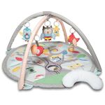 Skip Hop Kids Treetop Friends Activity Gym- Grey/Pastel