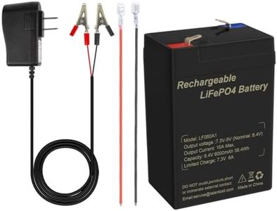 Talentcell 6V 6Ah LiFePO4 Battery Pack LF060A1, 2000 Cycles Rechargeable Lithium Iron Phosphate Battery with Charger