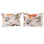 Benjara 26 x 20 Inches Standard Pillow Sham with Fox and Owl Print, Multicolor