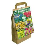 101 Dutch Bulbs | Big Buy Promo Pack | Bee-Friendly | Mixed Spring Flower Bulbs | Eco-Friendly Packaging | Easy Planting Guide Included