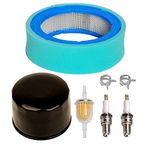 Carkio Oil Filter Air Filter Pre-Cleaner Fuel Filter Clamps Spark Plug Compatible with John Deere GT235 GT235E LTR166 LT166 LT170 LX288 SST16 SST18 Lawn Mower