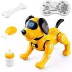 Robot Dog Remote Control Pet – The 