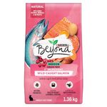 Beyond Grain Free Natural Dry Cat Food, Indoor Cat Wild-Caught Salmon & Egg - 1.36 kg Bag