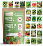 THUNDERBAY-GBSE 22 Vegetable and Herb Seed Variety Pack Over 4000+ Seeds (100% Non-GMO,22 Individually Packed Sachets,22 Planting Tags) 22 sachets d'herbes et légumes (22)