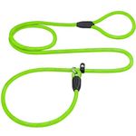 PETESCORT Slip Lead Dog Leash, Heavy Duty 1/2" 3/8" x 6 FT Strong Rope Slip Leash for Large, Medium & Small Dogs No Pulling Pet Training Leash Highly Reflective Threads (3/8in x 6Ft,Green)