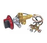 Earth Star 100000BTU LPG/NG Gas Oven Stove Inlet Valve Pilot Burner and Knob Whole Sets