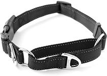 Mighty Paw Martingale Nylon Training Collar - Martingale Collar Dog - Limited Slip Design for Controlled Training - Reflective Stitching for Safety - Black Training Collar - Medium Size Collar