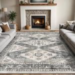 DEXI Area Rug 4x6, Washable Rugs Living Room Dining Room Bedroom Bedside, Non-Shedding Low-Pile Shag Soft Large Carpet Mat for Inside Floor, Grey