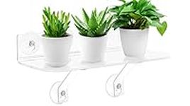 15 Inch Suction Cup Shelf for Plant